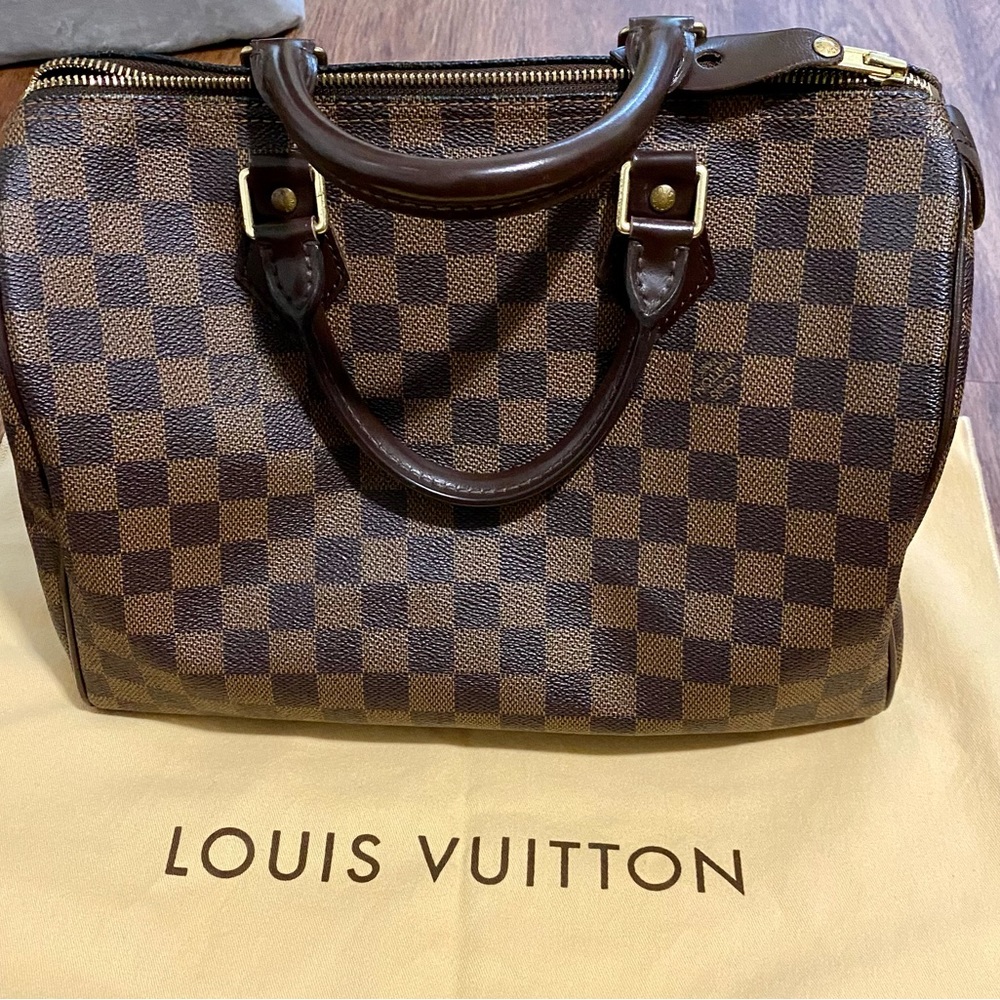 Authentic Louis Vuitton Speedy 30 Damien Albene Canvas